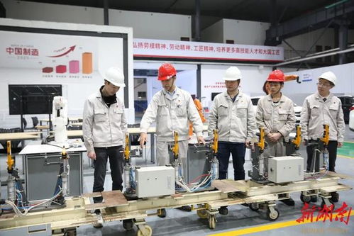 青春力量動長沙 一座城市與青年雙向奔赴的時代脈動